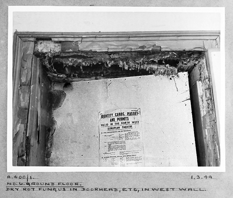 dry rot and identity cards...
